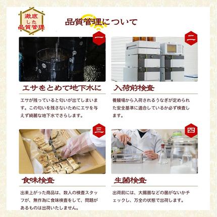 静岡県浜松市のふるさと納税 うなぎ 特上 長蒲焼き 2尾 合計300g以上 セット 国産 浜名湖うなぎ 配送不可：離島