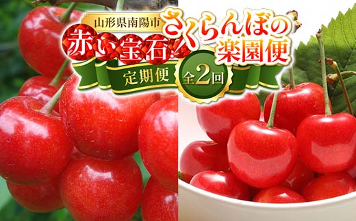 山形県南陽市のふるさと納税 【令和8年産先行予約】 《定期便2回》 赤い宝石！さくらんぼの楽園便 「佐藤錦・紅秀峰」 各約800g (約200g×4パック 秀 L以上) 『フードシステムズ』 山形県 南陽市 [894]