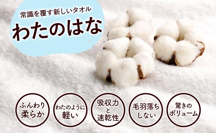 岐阜県安八町のふるさと納税 超無撚糸 タオル わたのはな No.2 サックス 約34×120cm 五分咲き 極太糸 ショートパイル むねんし 雑貨 日用品 パイル 日本製 綿100％ 柔らか 軽い ボリューム 吸水 風合い ハーフバスタオル プレゼント ギフト 贈り物 浅野撚糸 送料無料 岐阜県 安八町