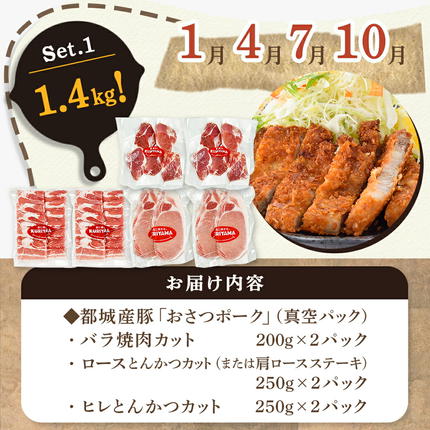 宮崎県都城市のふるさと納税 ≪隔月3回お届け≫「おさつポーク」バラエティ定期便_T33-3-1402