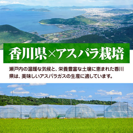香川県東かがわ市のふるさと納税 アスパラガス【さぬきのめざめ】訳あり品　約1kg