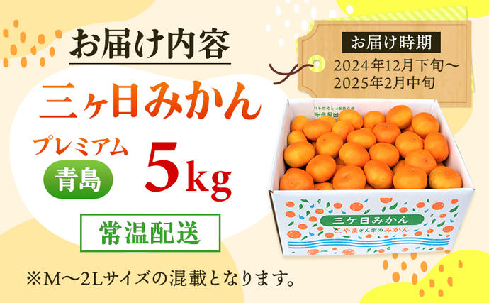 2025年12月中旬より順次発送】三ヶ日みかん プレミアム（青島5kg）果物
