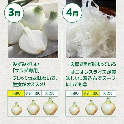 愛知県碧南市のふるさと納税 【5/31まで受付】(2026年発送) ≪『満天☆青空レストラン』で紹介されました！≫ 訳あり 新玉ねぎ 生がおいしい 神重農産のブランド玉ねぎ「旬玉」5kg ブランド玉ねぎ 玉ねぎ 国産 愛知県産 野菜 やさい 農家直送 畑直送 旬 期間限定 たまねぎ 先行予約 旬 特産 高評価 高リピート 人気 H105-203