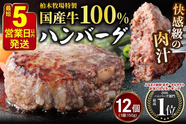 神奈川県伊勢原市のふるさと納税 [5営業日以内発送] 柏木牧場特製 国産牛100%ハンバーグ (150g×12個)｜国産 ハンバーグ 冷凍 グルメ ギフト お惣菜 惣菜 [0758]