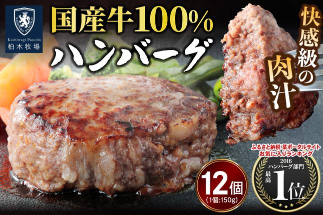 柏木牧場特製 国産牛100%ハンバーグ (