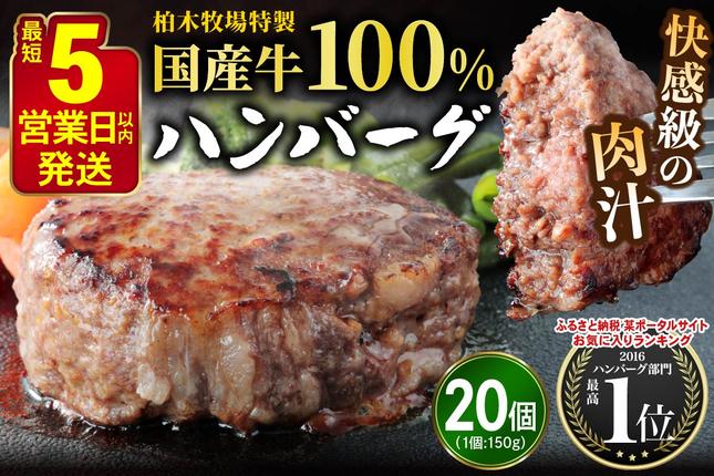 [5営業日以内発送] 柏木牧場特製 国産牛