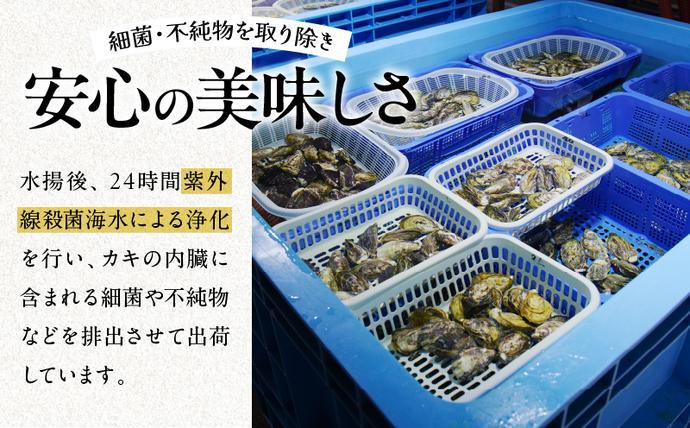 宮崎県日南市のふるさと納税 数量限定 宮崎県産 ブランド 牡蠣 ひとしおオイスター 計20個 魚介 魚貝 かき 生食用 殻付き 国産 おかず おつまみ 食品 海鮮 海産物 シーフード BBQ バーベキュー アウトドア グランピング 海の幸 養殖 絶品 贅沢 ご褒美 お取り寄せ グルメ 日南市 送料無料_CB81-23