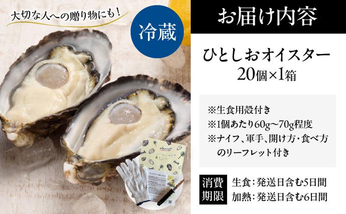 宮崎県日南市のふるさと納税 数量限定 宮崎県産 ブランド 牡蠣 ひとしおオイスター 計20個 魚介 魚貝 かき 生食用 殻付き 国産 おかず おつまみ 食品 海鮮 海産物 シーフード BBQ バーベキュー アウトドア グランピング 海の幸 養殖 絶品 贅沢 ご褒美 お取り寄せ グルメ 日南市 送料無料_CB81-23