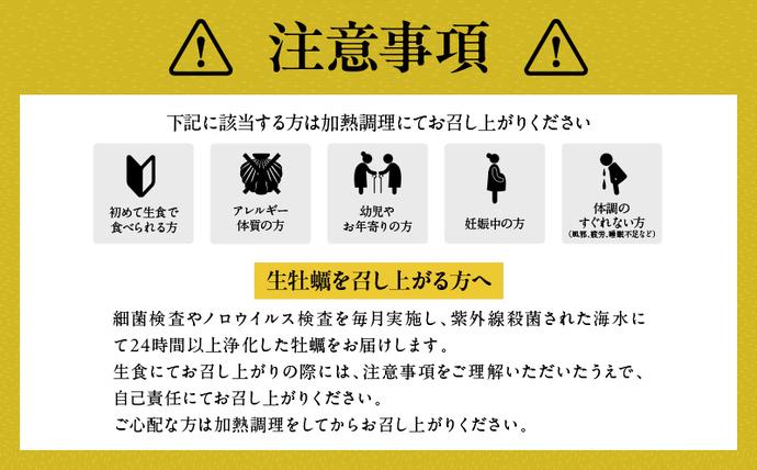 宮崎県日南市のふるさと納税 数量限定 宮崎県産 ブランド 牡蠣 ひとしおオイスター 計20個 魚介 魚貝 かき 生食用 殻付き 国産 おかず おつまみ 食品 海鮮 海産物 シーフード BBQ バーベキュー アウトドア グランピング 海の幸 養殖 絶品 贅沢 ご褒美 お取り寄せ グルメ 日南市 送料無料_CB81-23