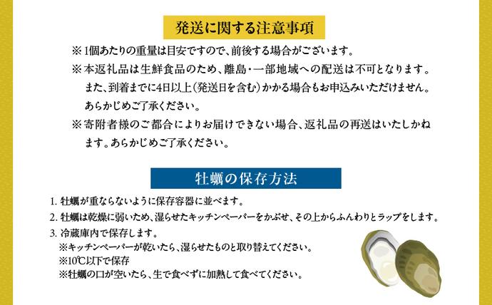 宮崎県日南市のふるさと納税 数量限定 宮崎県産 ブランド 牡蠣 ひとしおオイスター 計20個 魚介 魚貝 かき 生食用 殻付き 国産 おかず おつまみ 食品 海鮮 海産物 シーフード BBQ バーベキュー アウトドア グランピング 海の幸 養殖 絶品 贅沢 ご褒美 お取り寄せ グルメ 日南市 送料無料_CB81-23