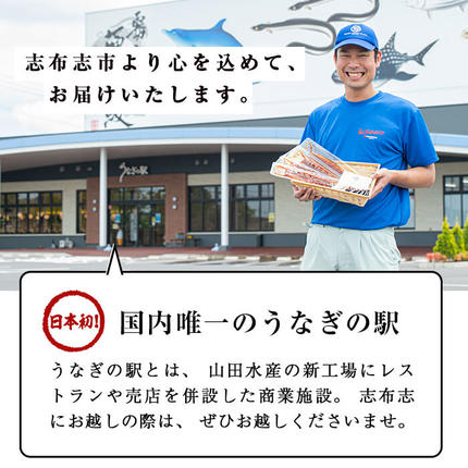 鹿児島県志布志市のふるさと納税 【志布志市制20周年記念】【数量限定】国産 八本木樽鰻の蒲焼(160g以上×5尾) うなぎ肝串4本セット 【ポータル限定】 b5-192-km