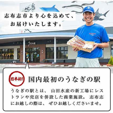 鹿児島県志布志市のふるさと納税 【数量限定】国産 八本木樽鰻の蒲焼(160g以上×5尾) うなぎ肝串4本セット 【ポータル限定】 b5-192-km