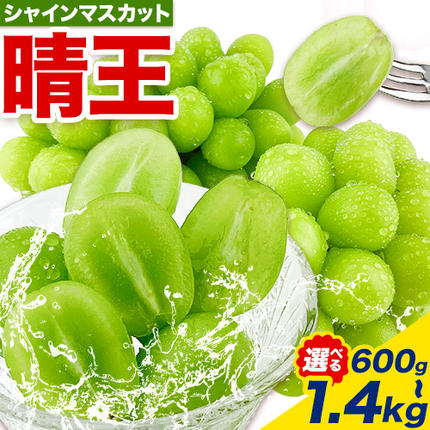 2026年先行予約受付】ぶどう シャインマスカット 晴王 選べる 600g