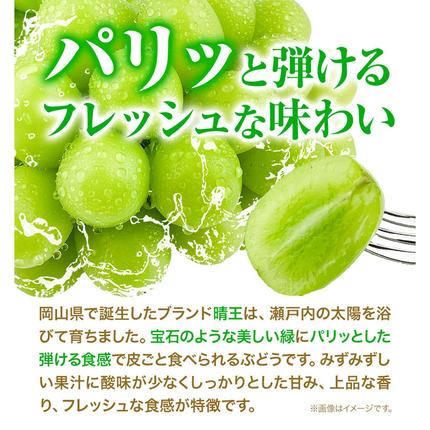 2026年先行予約受付】ぶどう シャインマスカット 晴王 選べる 600g