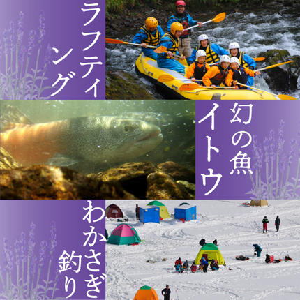 北海道南富良野町のふるさと納税 2026年夏発送 JAふらの厳選！ふらの赤肉メロン 1.6kg×2玉  メロン めろん 富良野メロン 果物 くだもの フルーツ 富良野 デザート 北海道 贈り物 ギフト 果物類 メロン赤肉