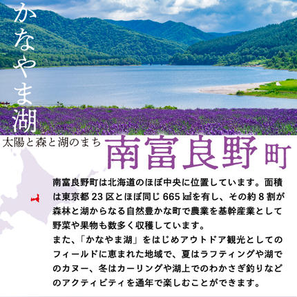 北海道南富良野町のふるさと納税 2026年夏発送  メロン 北海道 ふらの 赤肉メロン 約2.5kg×1玉 JAふらの 厳選 産地直送 赤肉 富良野メロン フルーツ 果物 果実 旬 旬のくだもの デザート おやつ めろん 富良野