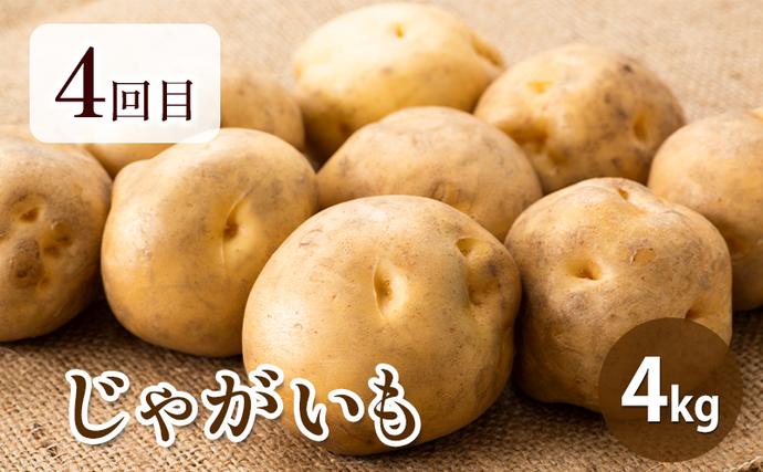 北海道富良野市のふるさと納税 【2026年春～秋発送】北海道 定期便 4ヵ月 連続 全4回 ふらの産野菜セット富良野市 野菜 新鮮 直送 アスパラ とうもろこし ミニトマト ほれまる さくら じゃがいも 男爵 道産 ふらの 送料無料 数量限定 先着順