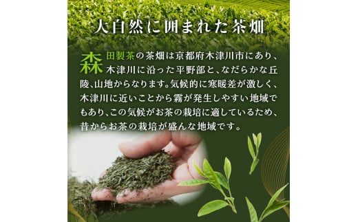 京都府木津川市のふるさと納税 【選べる種類と数量】神どら　抹茶味＆京番茶味のどら焼き 6個or8個セット