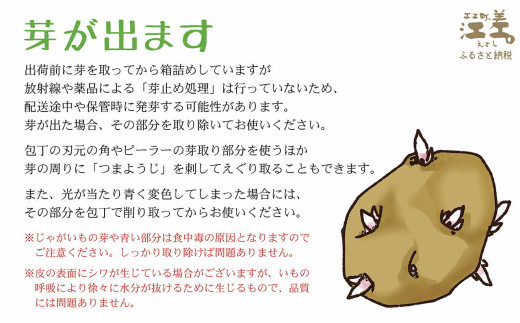 北海道江差町のふるさと納税 【早期予約：2026年7月頃～順次出荷予定】砂質土育ち「夏」メークイン M・L混合5kg　露地もの　手掘り　江差産メークイン　北海道のじゃがいも　芋の塩煮　肉じゃが　カレー　シチュー　コロッケ　色々なお料理に　北海道産