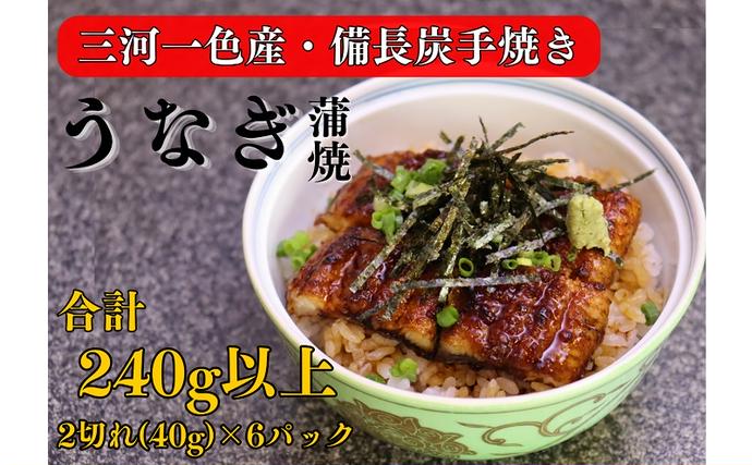 三河一色産 備長炭手焼き 昭和9年創業 魚