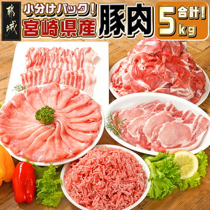宮崎県産豚肉5kgセット〔AC-M601〕