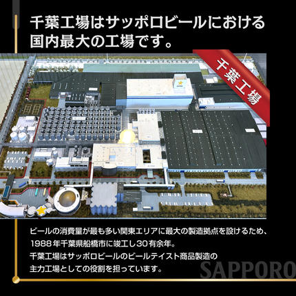 千葉県船橋市のふるさと納税 【最短翌日出荷】 ビール 黒ラベル サッポロ サッポロビール 350ml 24本 酒 お酒 1ケース 1箱 おすすめ 人気 ギフト 贈答 24 ケース
