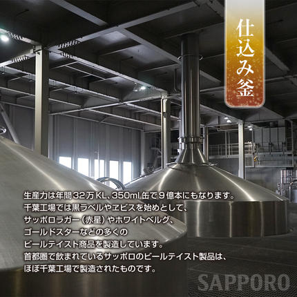 千葉県船橋市のふるさと納税 【最短翌日出荷】 ビール 黒ラベル サッポロ サッポロビール 500ml 24本 酒 お酒 1ケース 1箱 おすすめ 人気 ギフト 贈答 24 ケース