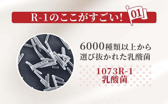 京都府京田辺市のふるさと納税 明治 R1 プロビオヨーグルト ドリンクタイプ 12本入り