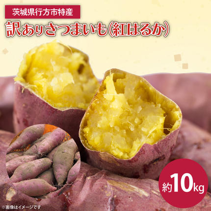 茨城県産 紅はるか 訳あり サイズミックス 約10kg｜訳あり わけあり 訳