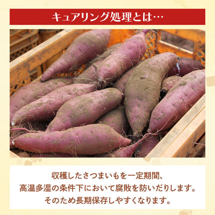 茨城県産 紅はるか 訳あり サイズミックス 約10kg｜訳あり わけあり 訳