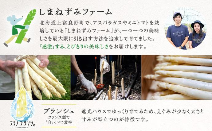 北海道上富良野町のふるさと納税 【令和8年産】〔メディア掲載されました〕 ホワイト アスパラガス 3L 400g 春アスパラ 野菜 旬 新鮮 産地直送 甘い 極太 お取り寄せ グルメ 高評価 限定 北海道 上富良野産