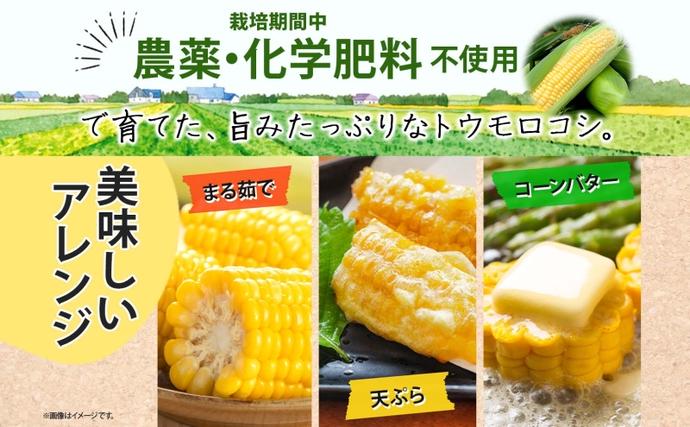 朝採り とうもろこし すはらコーン 8～12本 トウモロコシ イエロー