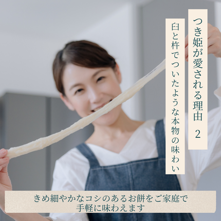 岡山県赤磐市のふるさと納税 みのる産業 3合餅つき機 つき姫 リッチホワイト 餅つき機 ホワイト