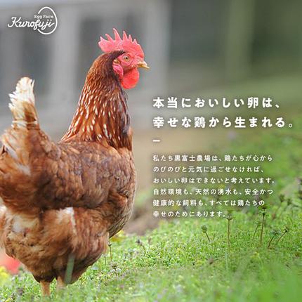 山梨県甲斐市のふるさと納税 放牧卵30個×10ヶ月　人気　おすすめ　国産　贈答　ギフト　お取り寄せ　卵　たまご　タマゴ　玉子　鶏卵　自然卵　放牧卵　平飼い　新鮮　たまごかけご飯