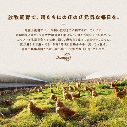 山梨県甲斐市のふるさと納税 放牧卵30個×10ヶ月　人気　おすすめ　国産　贈答　ギフト　お取り寄せ　卵　たまご　タマゴ　玉子　鶏卵　自然卵　放牧卵　平飼い　新鮮　たまごかけご飯