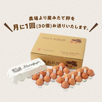 山梨県甲斐市のふるさと納税 放牧卵30個×10ヶ月　人気　おすすめ　国産　贈答　ギフト　お取り寄せ　卵　たまご　タマゴ　玉子　鶏卵　自然卵　放牧卵　平飼い　新鮮　たまごかけご飯
