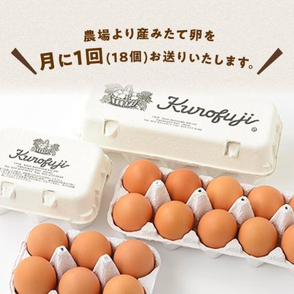 山梨県甲斐市のふるさと納税 放牧卵18個×6ヶ月　人気　おすすめ　国産　贈答　ギフト　お取り寄せ　卵　たまご　タマゴ　玉子　鶏卵　自然卵　放牧卵　平飼い　新鮮　たまごかけご飯