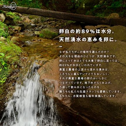 山梨県甲斐市のふるさと納税 放牧卵18個×6ヶ月　人気　おすすめ　国産　贈答　ギフト　お取り寄せ　卵　たまご　タマゴ　玉子　鶏卵　自然卵　放牧卵　平飼い　新鮮　たまごかけご飯