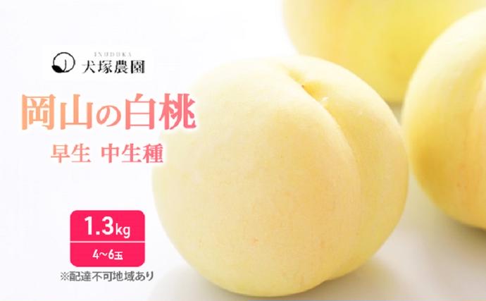 桃 【2026年 先行予約】 ご家庭用 訳