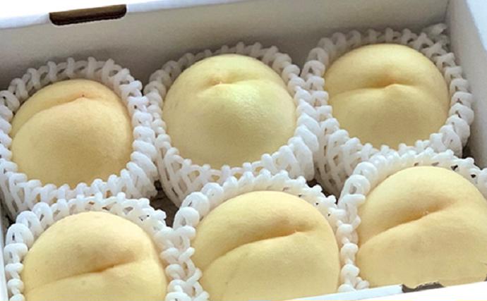 岡山県里庄町のふるさと納税 桃 【2026年 先行予約】 ご家庭用 訳あり 1.3kg(4～6玉) もも モモ 国産 岡山 白桃 フルーツ 果物 旬 岡山県 里庄町 送料無料 早生 中生種 犬塚農園