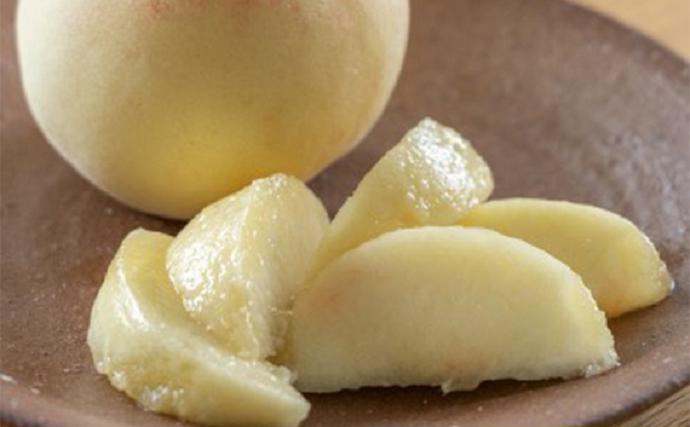 岡山県里庄町のふるさと納税 桃 【2026年 先行予約】 ご家庭用 訳あり 1.3kg(4～6玉) もも モモ 国産 岡山 白桃 フルーツ 果物 旬 岡山県 里庄町 送料無料 早生 中生種 犬塚農園