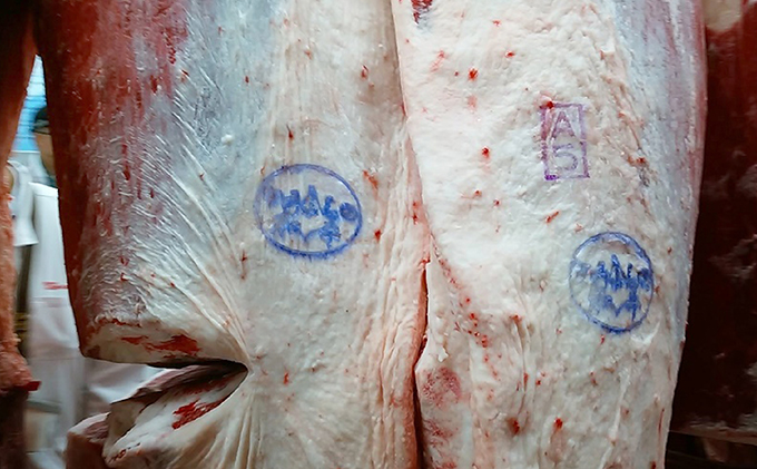 北海道上富良野町のふるさと納税 かみふらの和牛A5等級　半頭まるごとお届け便≪19個口≫