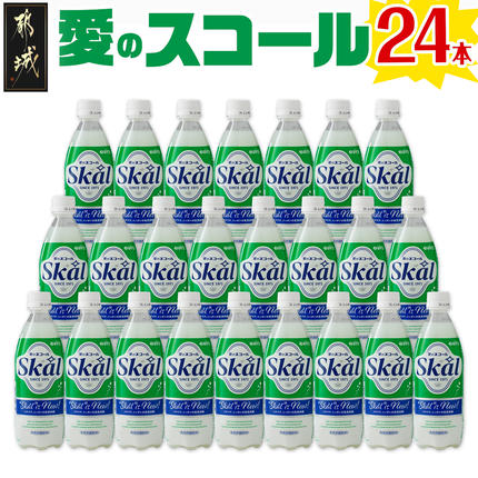 宮崎県都城市のふるさと納税 愛のスコール 500ml×24本_11-2305