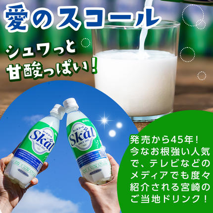 宮崎県都城市のふるさと納税 愛のスコール 500ml×24本_11-2305