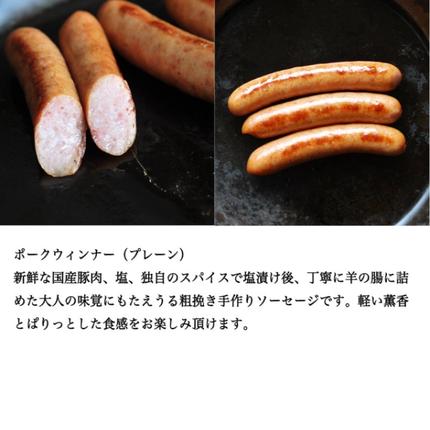 愛知県日進市のふるさと納税 煮込みハンバーグ＆ソーセージ セット ハンバーグ ソーセージ 肉 愛知 日進市 ※配送不可：離島