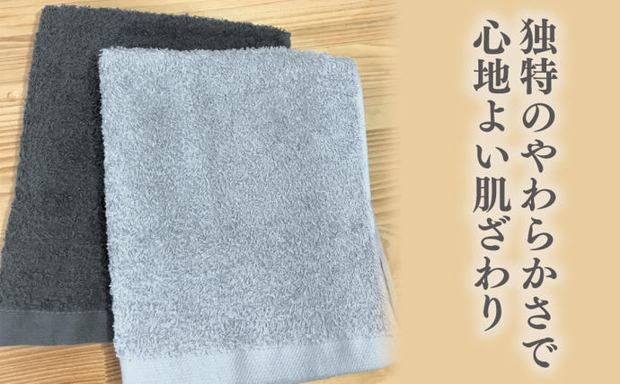 大阪府泉佐野市のふるさと納税 ナチュレル 泉州ハンドタオル10枚（グレー系）【泉州タオル 国産 吸水 普段使い 無地 シンプル 日用品 家族 ファミリー】 005A295