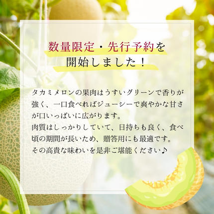 茨城県八千代町のふるさと納税 【先行予約 2026年6月中旬以降発送開始】  タカミメロン 秀品 1箱 2玉入り 期間限定 産地直送 果物 フルーツ メロン 青肉 甘い[AV010ya]