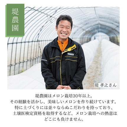 茨城県八千代町のふるさと納税 【先行予約 2026年6月中旬以降発送開始】  タカミメロン 秀品 1箱 2玉入り 期間限定 産地直送 果物 フルーツ メロン 青肉 甘い[AV010ya]