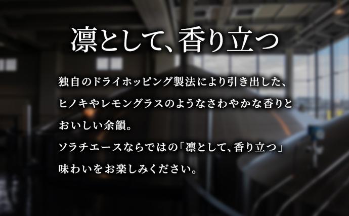 北海道上富良野町のふるさと納税 ビール SORACHI1984 350ml × 24缶  最短翌日～7日以内配送 伝説のホップ ソラチエース ソラチ sorachi ソラチ1984 サッポロビール サッポロ 地ビール お酒 酒 アルコール  北海道 上富良野町