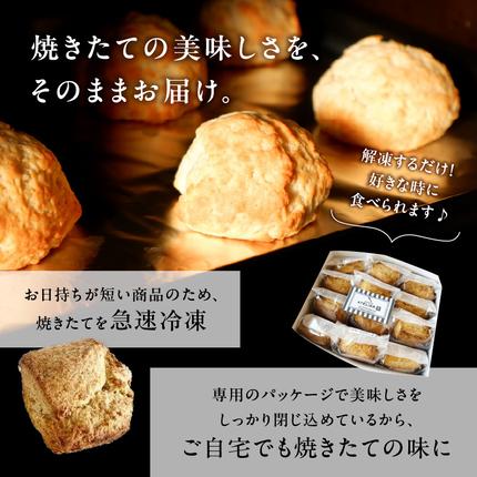 京都府木津川市のふるさと納税 全粒粉スコーンプレーン12個入り【097-06】